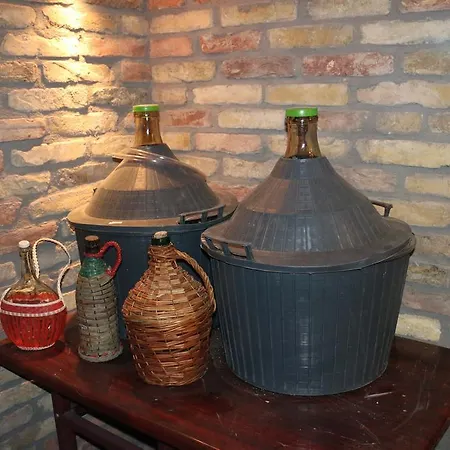 Menyecskehaz Panzio Dombrád