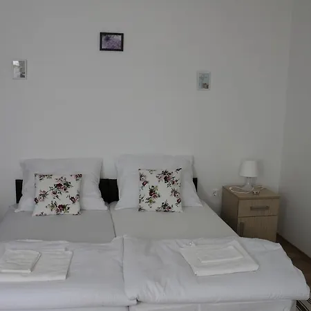 Guest house Menyecskehaz Panzio *