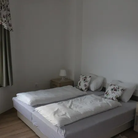 Menyecskehaz Panzio Guest house Dombrad